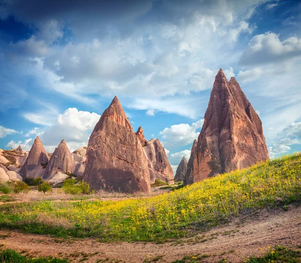Lenyűgöző Tavaszi Jelenet Cappadociáról Festői Kilátás Nyílik Vörös Rózsa Völgyében — Stock Fotó