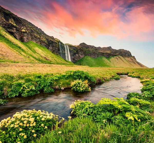 란드사 강에서 내려다 보이는 아이슬란드의 해안에서는 여름철의 광경을 수있습니다 포스팅 — 스톡 사진