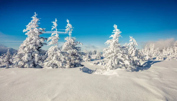 Panorama Soleado Mañana Bosque Montaña Paisaje Invierno Brillante Bosque Nevado — Foto de Stock