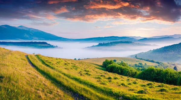 Escena Soleada Las Montañas Cárpatas Paisaje Rural Brumoso Con Carretera — Foto de Stock