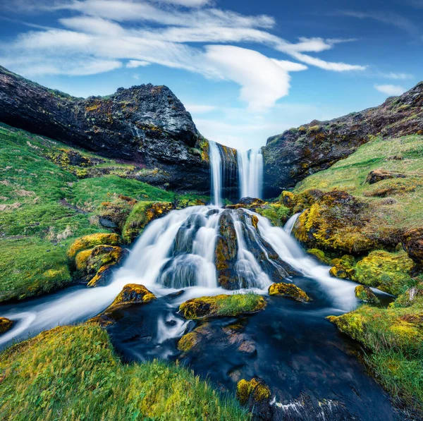 Maravillosa Vista Verano Cascada Ovejas Espectacular Escena Matutina Islandia Europa — Foto de Stock