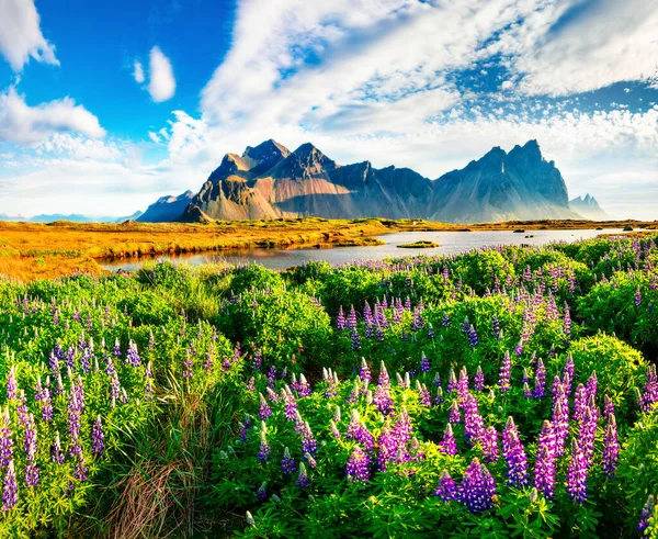 Színes Reggeli Jelenet Stokksnes Köpeny Vestrahorn Batman Mountain Háttérben Lenyűgöző — Stock Fotó