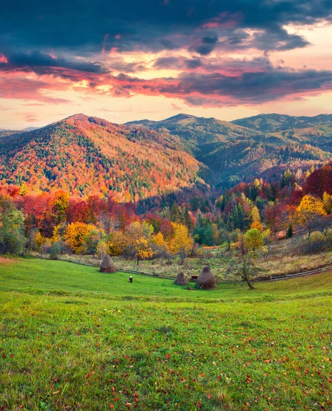 Colorido Paisaje Otoñal Las Montañas Los Cárpatos Espléndido Atardecer Pueblo —  Fotos de Stock