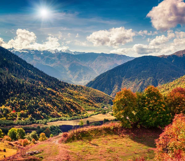 Colorful maple trees on the hill of Ushba mountain. Beautiful outdoor scene in Upper Svaneti, Mazeri village location, Georgia, Europe. Artistic style post processed photo.