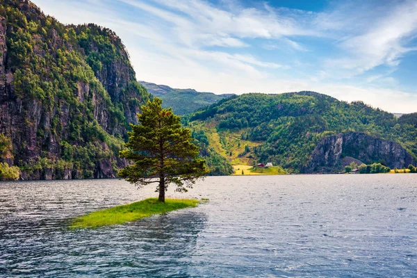 Splendida Vista Estiva Del Lago Suldalsvatnet Pittoresca Scena Mattutina Norvegia — Foto Stock