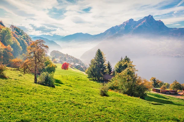スイス ヨーロッパのStansstad町の郊外のエキサイティングな朝の景色 ルツェルン湖の息をのむような秋のシーン スイスアルプスの魅力的な風景 旅のコンセプト背景 — ストック写真