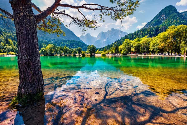 朱利安 阿尔卑斯山脉阳光灿烂的夏季场景 戈兹德 马蒂耶克 斯洛文尼亚 美丽的贾斯纳湖晨景 特里格拉夫国家公园风景如画 旅行概念背景 — 图库照片