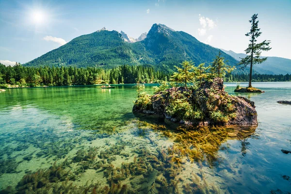 Herrliche Sommerszene Hintersee Bunte Morgensicht Auf Die Bayerischen Alpen Der — Stockfoto