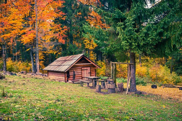 Kolorowa Poranna Scena Górskim Lesie Leśna Chata Wśród Jesiennych Lasów — Zdjęcie stockowe