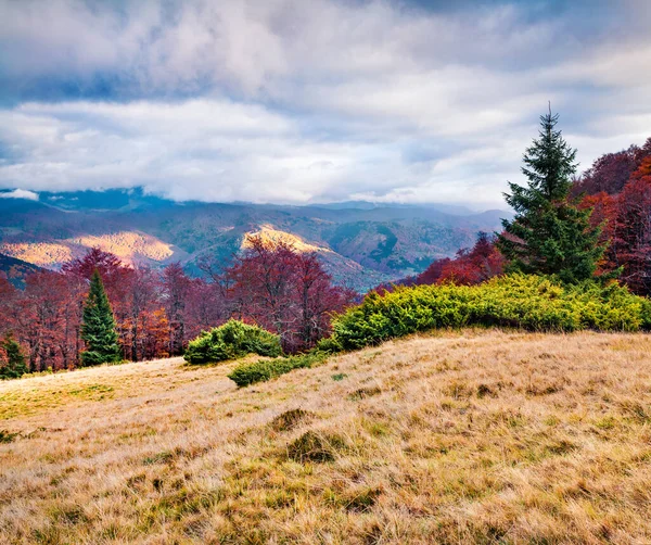 阳光正从喀尔巴阡山脉的山坡上滚落下来 清澈的晨景映衬着山谷 自然美概念背景 — 图库照片