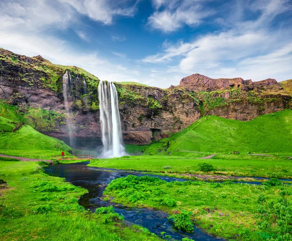 Gyönyörű Reggeli Kilátás Seljalandfoss Vízesés Seljalandsa Folyó Nyáron Színes Nyári — Stock Fotó