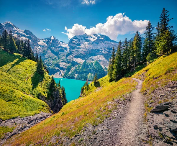 Magnífica Vista Verano Del Único Lago Oeschinensee Espléndida Escena Aire —  Fotos de Stock