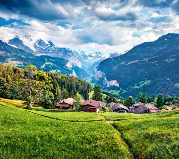Niesamowity Letni Widok Wioskę Wengen Zielona Scena Poranna Wsi Alpach — Zdjęcie stockowe