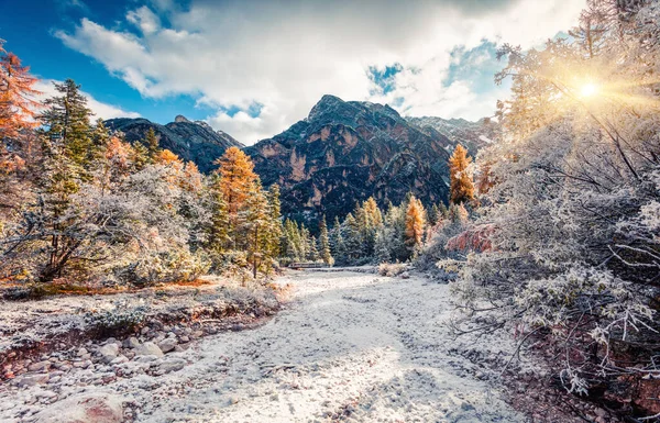 Erster Schnee Naturpark Fanes Sennes Prags Bunte Herbstlandschaft Den Dolomiten — Stockfoto