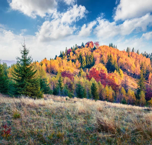 Velkolepá Podzimní Scéna Karpat Malebný Ranní Pohled Horské Údolí Ukrajina — Stock fotografie