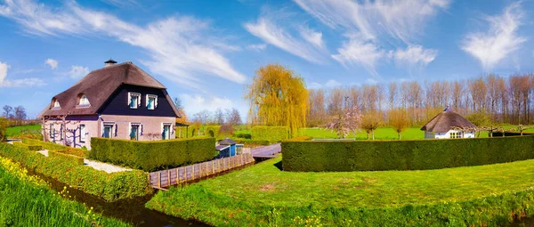 Zonnig Lentepanorama Van Het Typisch Hollandse Platteland Kleurrijke Ochtendscene Het — Stockfoto