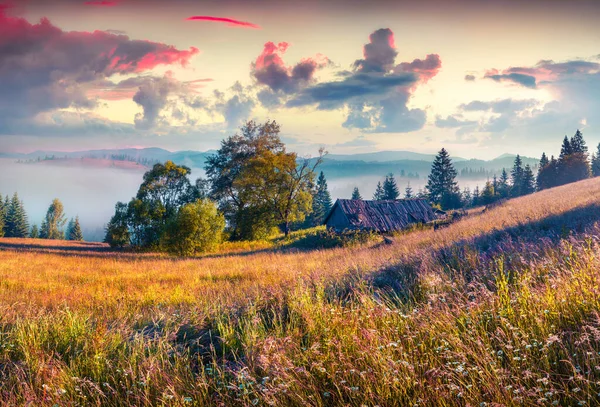 Kolorowa Scena Poranna Górach Falującymi Wzgórzami Dolinami Złotym Porannym Świetle — Zdjęcie stockowe