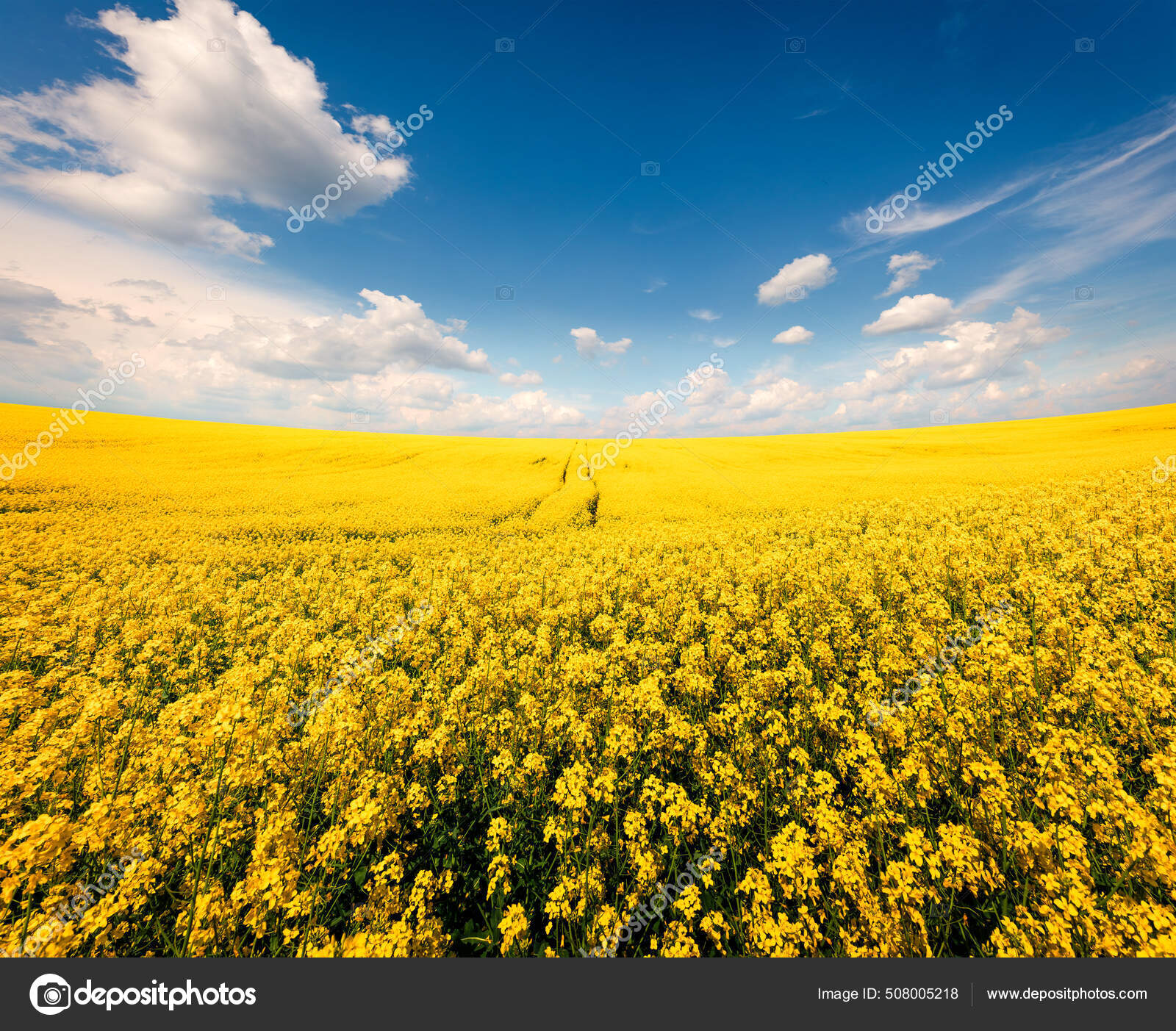 어스름 봄에는 보인다 아름다운 풍경이 펼쳐져 있습니다 자연의아름다움 — 스톡 사진 © AndrewMayovskyy #508005218, image size:1600x1403