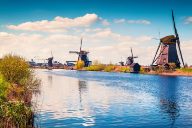 Hollanda 'daki Kinderdijk Müzesi' ndeki ünlü zihin değirmenleri. Kırsal kesimde güneşli bir bahar sabahı. Hollanda, Avrupa 'da renkli bir açık hava sahnesi. UNESCO Dünya Mirası Alanı. İşlenmiş fotoğraf sonrası sanatsal stil.