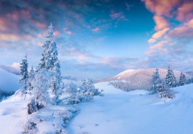 Dağlardaki çarpıcı Noel sahnesi. Sisli sabahta renkli kış gündoğumu. Carpathian Ulusal Parkı, Ukrayna, Avrupa. İşlenmiş fotoğraf sonrası sanatsal stil.