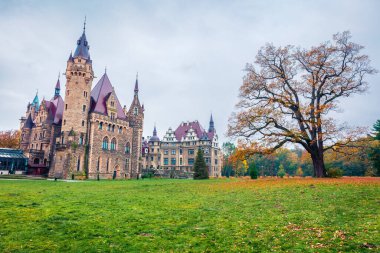MOSZNA, POLAND - 24 Ekim 2017; 1900 'den 1914' e kadar uzanan Moszna Şatosu, Yukarı Silezya 'nın en bilinen anıtlarından biridir..