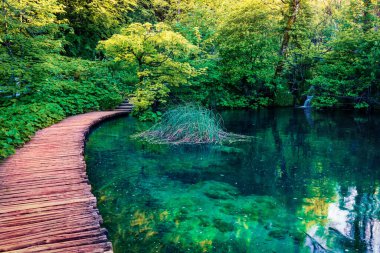 Plitvice Ulusal Parkı 'nın sabah manzarası. Saf su gölü olan yeşil ormanın taze bahar manzarası. Hırvatistan ve Avrupa 'nın muhteşem kırsal manzarası. Doğa konseptinin güzelliği.