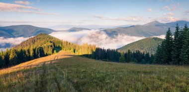 Karpat dağlarında aydınlık bir yaz sabahı. Haziran ayında Ukrayna, Tatariv köyü, Avrupa 'daki dağ vadisinde manzaralı bir manzara. Doğa konseptinin güzelliği