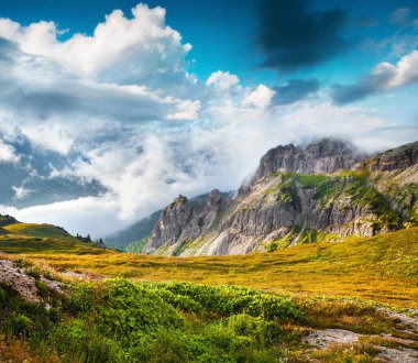 Ulusal Park Tre Cime De Lavaredo 'nun güzel yaz sahnesi. Dolomite Alpleri 'nin, Güney Tyrol' ün, Auronzo 'nun, İtalya' nın ve Avrupa 'nın sabah manzarası harika. Doğa konseptinin güzelliği.