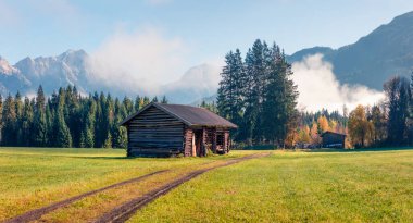 Avusturya 'nın Salzburg eyaletinde Zell am semtindeki Mitterhofen köyünün harika sabah manzarası. Alpler, Avusturya, Avrupa 'nın renkli sonbahar sahnesi. Seyahat konsepti arka planı.
