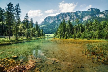 Hintersee Gölü 'nün parlak yaz sahnesi. Avusturya, Almanya ve Avrupa sınırındaki Bavyera Alpleri 'nin resimli sabah manzarası. Doğa konseptinin güzelliği. Instagram filtre tonu.