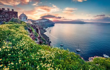 Santorini adasının mükemmel sabah manzarası. Yunanistan 'ın ünlü tatil beldesi Oia, Yunanistan ve Avrupa' da resim gibi bir bahar gündoğumu. Seyahat konsepti geçmişi. İşlenmiş fotoğraf sonrası sanatsal stil.