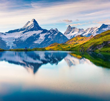 Arka planda Schreckhorn zirvesi olan Bachalpsee Gölü 'nün dramatik yaz manzarası. İsviçre Bernese Alpleri, İsviçre, Avrupa 'da renkli bir sabah sahnesi. Doğa konseptinin güzelliği.