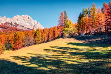 İtalyan Alpleri 'nin muhteşem sabah manzarası. Dolomite dağlarının güneşli sonbahar manzarası, Cortina d 'Ampezzo konumu, İtalya, Avrupa. Doğa konseptinin güzelliği.