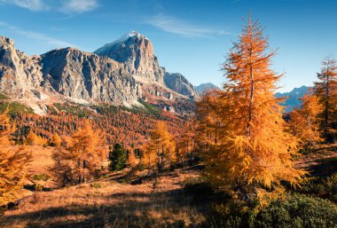 Falzarego 'nun tepesinden Lagazuoi dağıyla muhteşem bir manzara. Dolomite Alplerinde renkli bir sonbahar sabahı, Cortina d 'Ampezzo lacattion, İtalya, Avrupa. İşlenmiş fotoğraf sonrası sanatsal stil