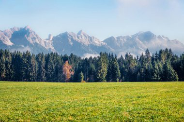 Avusturya 'nın Salzburg eyaleti Mitterhofen köyü yakınlarındaki yeşil çayır puslu sabah manzarası. Alpler, Avusturya, Avrupa 'nın renkli sonbahar sahnesi. Seyahat konsepti arka planı.