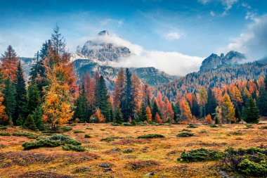 Ulusal Park Tre Cime di Lavaredo 'nun güneşli sabah sahnesi. Dolomite Alpleri, Güney Tyrol, Auronzo, İtalya, Avrupa 'nın renkli sonbahar sahnesi. Doğa konseptinin güzelliği.