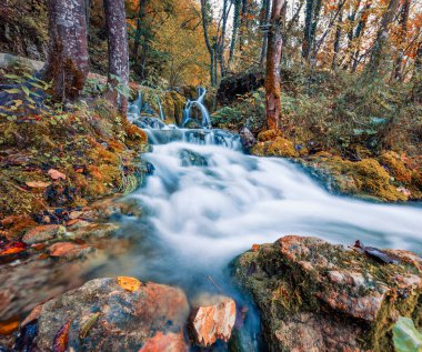 Plitvice Ulusal Parkı 'ndaki saf su şelalesinin büyüleyici sabah manzarası. Hırvatistan, Avrupa 'nın egzotik sonbahar sahnesi. Doğa konseptinin güzelliği.