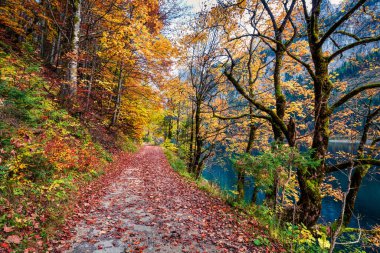 Vorderer / Gosausee Gölü 'nün kasvetli sonbahar sahnesi. Avusturya Alpleri, Yukarı Avusturya, Avrupa 'nın muhteşem sabah manzarası. Doğa konseptinin güzelliği.