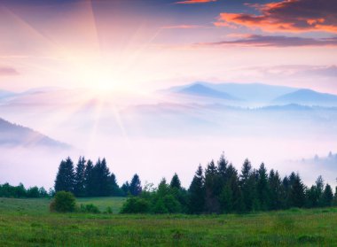 Karpatya dağlarında fantastik bir yaz gündoğumu. Yeşil Dağ Vadisi, Transcarpathian, Ukrayna, Avrupa 'nın puslu sabah manzarası. Doğa konseptinin güzelliği. Orton Efekti