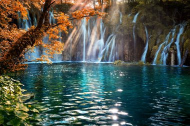 Plitvice Ulusal Parkı 'ndaki saf su şelalesinin göz kamaştırıcı manzarası. Hırvatistan, Avrupa 'nın resimli sonbahar sahnesi. Doğa konseptinin güzelliği.