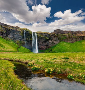 Seljalandfoss Şelalesi 'nin Seljalandsa nehri üzerindeki güzel sabah manzarası. İzlanda, Avrupa 'nın güney sahillerinde renkli bir yaz manzarası. İşlenmiş fotoğraf sonrası sanatsal stil.