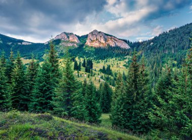 Pietrele Albe dağ zirvesinin muhteşem akşam manzarası. Apuseni Doğal Parkı, Cluj İlçesi, Romanya ve Avrupa 'da dramatik bir yaz günbatımı yaşandı. Doğa konseptinin güzelliği.