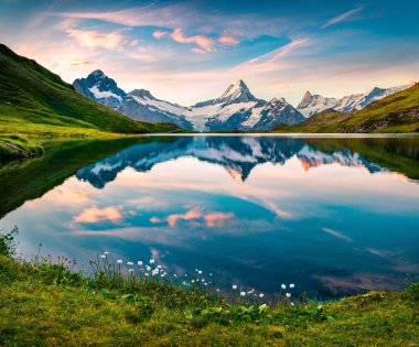 Gölün kıyısında çiçek açan küçük beyaz çiçekler. Bachalp Gölü (Bachalpsee), İsviçre 'nin sabah manzarası güzeldir. İsviçre Alpleri, Grindelwald, Bernese Oberland, Avrupa 'nın harika yaz manzarası. 