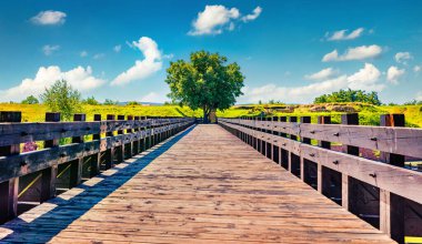 Alba Iulia Kalesi 'nin güneşli yaz manzarası. Transilvanya, Iulia Alba şehri, Romanya, Avrupa 'nın renkli sabah manzarası. Seyahat konsepti arka planı.