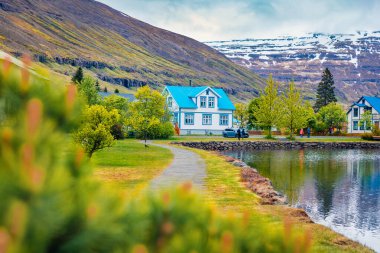 Küçük balıkçı kasabası Seydisfjordur 'un taze yeşil sabah manzarası. Doğu İzlanda, Avrupa 'nın parlak yaz manzarası. Seyahat konsepti arka planı. 