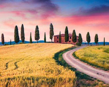 Çiftlik evi ve selvi ağaçlarıyla tipik Toskana manzarası. İtalya kırsalının renkli yaz manzarası, Val d 'Orcia vadisi, Pienza konumu. Kırsal konseptin güzelliği.