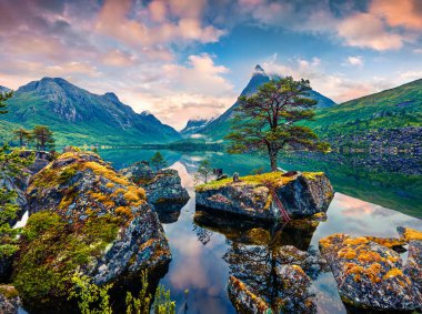 Innerdalsvatna Gölü 'nde harika bir yaz gündoğumu. Norveç, Avrupa 'da renkli bir sabah sahnesi. Doğa konseptinin güzelliği. Doğa konseptinin güzelliği