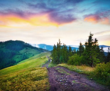 Karpatlar, Ukrayna, Avrupa 'nın harika yaz manzarası. Güneşin doğmasına birkaç dakika kala sisli dağların etkileyici sabah manzarası. Kırsal konseptin güzelliği. Instagram filtre tonu