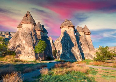 Asya 'nın Orta Anadolu Bölgesi' nde Nevsehir ilinin Kapadokya ilçesi Cavusin köyü yakınlarındaki kanyonda muhteşem kumtaşı formları. Doğa konseptinin güzelliği.