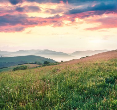 Karpatya dağlarında dramatik yaz gündoğumu. Yeşil dağ vadisi, Transcarpathian, Rika köyü, Ukrayna, Avrupa 'nın puslu sabah manzarası. Doğa konseptinin güzelliği.